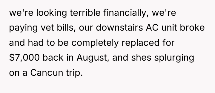 we're looking terrible financially, we're paying vet bills, our downstairs...