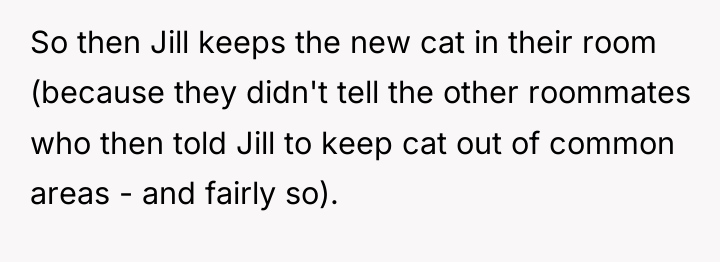 So then Jill keeps the new cat in their room...