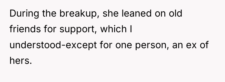During the breakup, she leaned on old friends for support,...