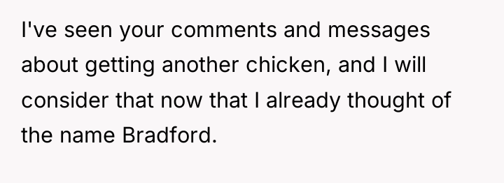 I've seen your comments and messages about getting another chicken,...
