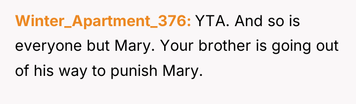 Winter_Apartment_376 YTA. And so is everyone but Mary. Your brother...