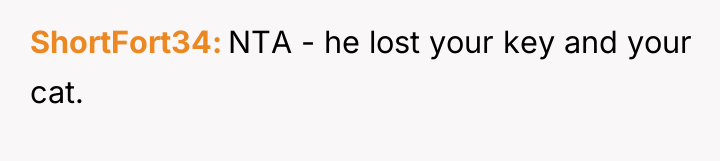 ShortFort34 NTA - he lost your key and your cat.