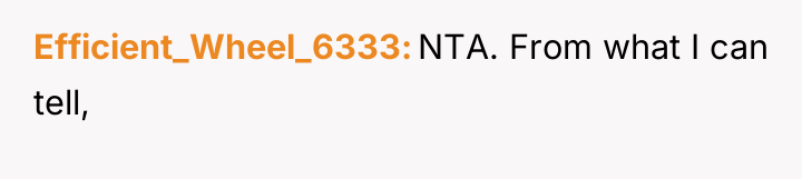 Efficient_Wheel_6333 NTA. From what I can tell,