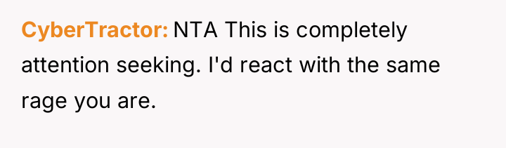 CyberTractor NTA This is completely attention seeking. I'd react with...