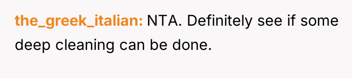 the_greek_italian NTA. Definitely see if some deep cleaning can be...