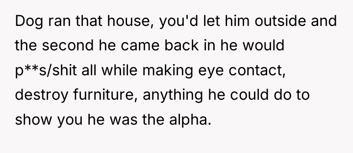 Dog ran that house, you'd let him outside and the...
