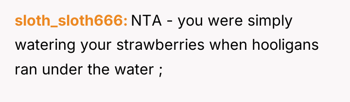 sloth_sloth666 NTA - you were simply watering your strawberries when...