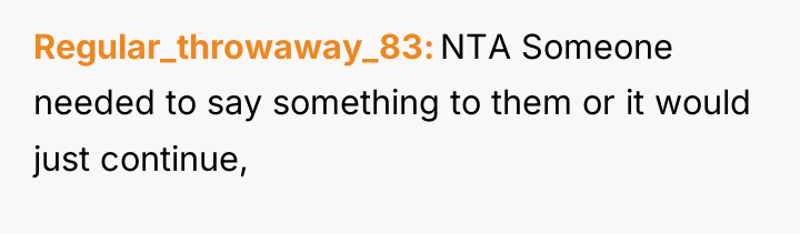 Regular_throwaway_83 NTA Someone needed to say something to them or...