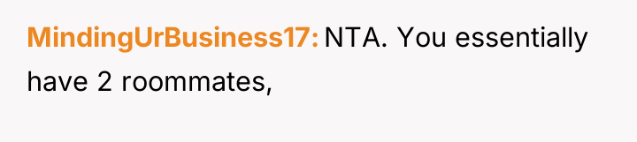 MindingUrBusiness17 NTA. You essentially have 2 roommates,