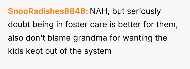 SnooRadishes8848 NAH, but seriously doubt being in foster care is...