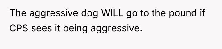The aggressive dog WILL go to the pound if CPS...