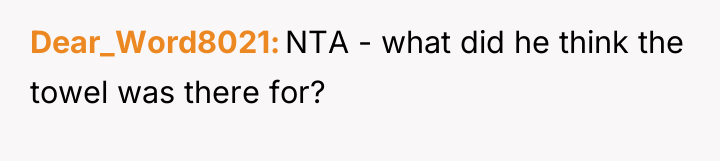 Dear_Word8021 NTA - what did he think the towel was...