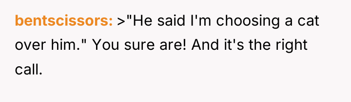 bentscissors >"He said I'm choosing a cat over him." You...