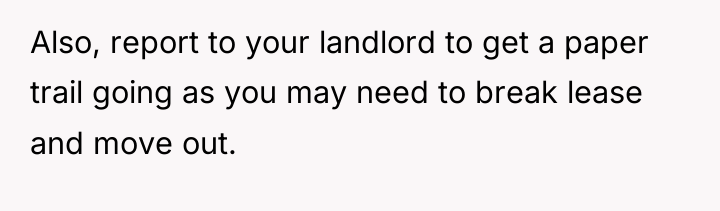 Also, report to your landlord to get a paper trail...