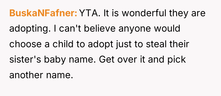 BuskaNFafner YTA. It is wonderful they are adopting. I can't...
