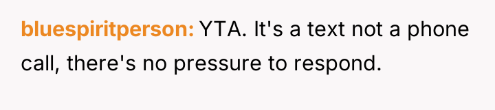 bluespiritperson YTA. It's a text not a phone call, there's...