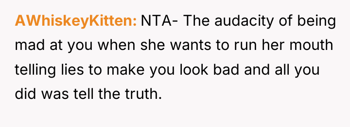 AWhiskeyKitten NTA- The audacity of being mad at you when...