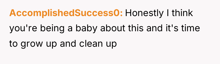AccomplishedSuccess0 Honestly I think you're being a baby about this...