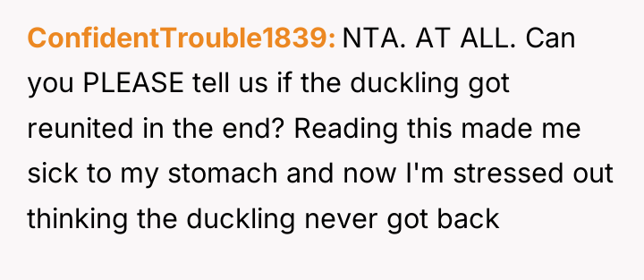 ConfidentTrouble1839 NTA. AT ALL. Can you PLEASE tell us if...