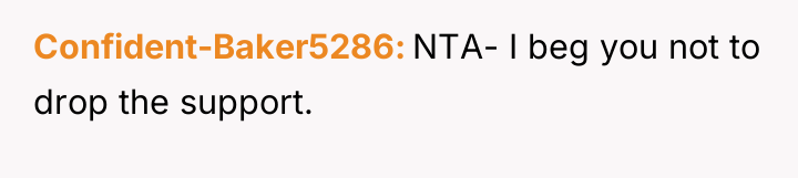 Confident-Baker5286 NTA- I beg you not to drop the support.