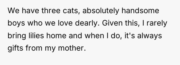 We have three cats, absolutely handsome boys who we love...