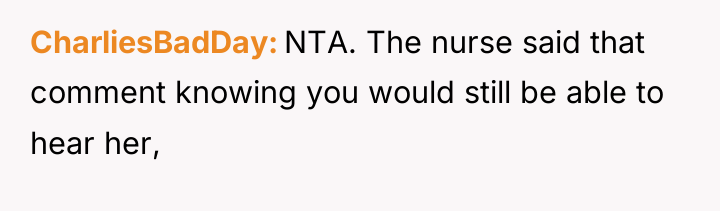 CharliesBadDay NTA. The nurse said that comment knowing you would...