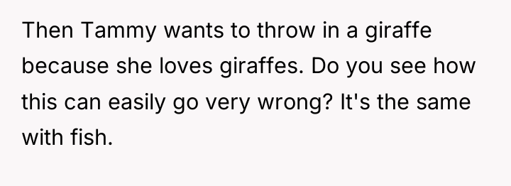 Then Tammy wants to throw in a giraffe because she...