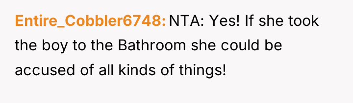 Entire_Cobbler6748 NTA: Yes! If she took the boy to the...
