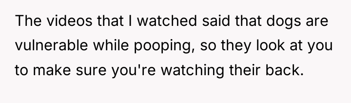 The videos that I watched said that dogs are vulnerable...