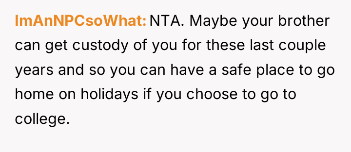 ImAnNPCsoWhat NTA. Maybe your brother can get custody of you...