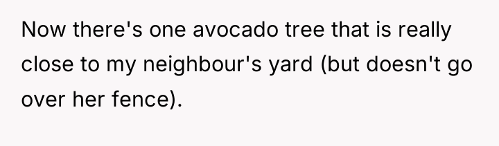 Now there's one avocado tree that is really close to...