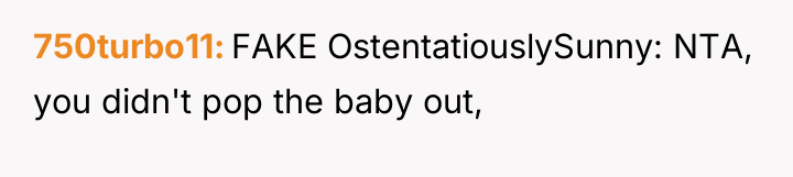 750turbo11 FAKE OstentatiouslySunny: NTA, you didn't pop the baby out,