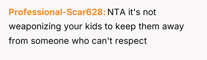 Professional-Scar628 NTA it's not weaponizing your kids to keep them...