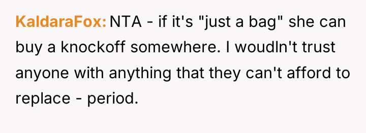 KaldaraFox NTA - if it's "just a bag" she can...