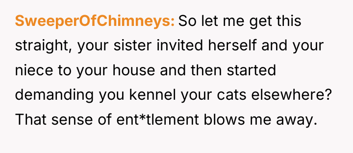 SweeperOfChimneys So let me get this straight, your sister invited...