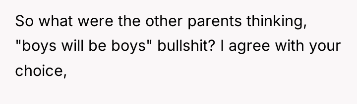 So what were the other parents thinking, "boys will be...