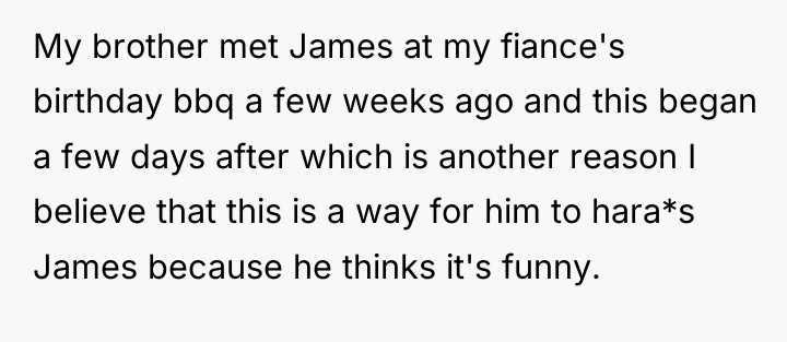 My brother met James at my fiance's birthday bbq a...