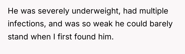 He was severely underweight, had multiple infections, and was so...