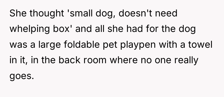 She thought 'small dog, doesn't need whelping box' and all...