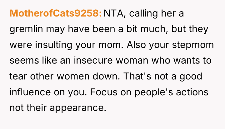 MotherofCats9258 NTA, calling her a gremlin may have been a...