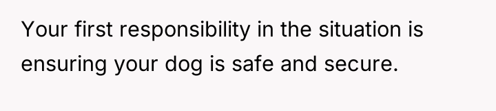 Your first responsibility in the situation is ensuring your dog...