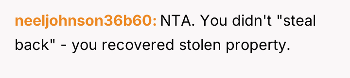 neeljohnson36b60 NTA. You didn't "steal back" - you recovered stolen...