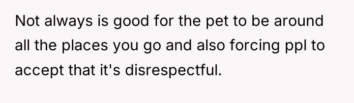 Not always is good for the pet to be around...