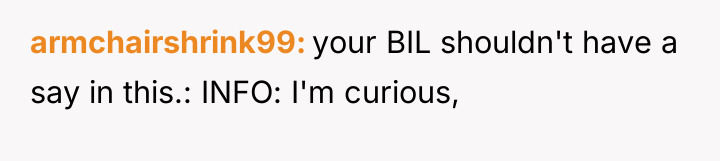 armchairshrink99 your BIL shouldn't have a say in this.: INFO:...