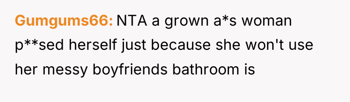 Gumgums66 NTA a grown a*s woman p**sed herself just because...