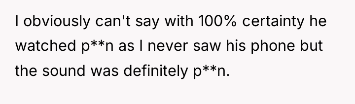 I obviously can't say with 100% certainty he watched p**n...