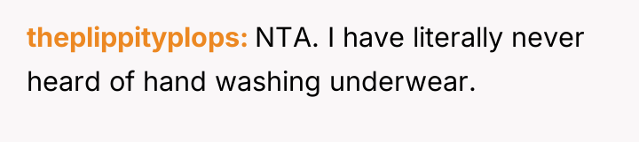 theplippityplops NTA. I have literally never heard of hand washing...