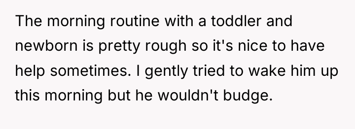 The morning routine with a toddler and newborn is pretty...