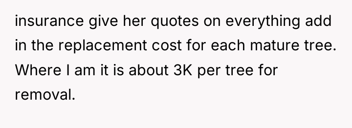 insurance give her quotes on everything add in the replacement...