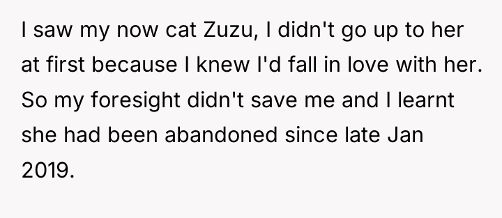 I saw my now cat Zuzu, I didn't go up...
